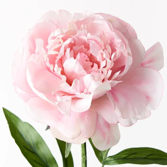 ARTIFICIAL PEONY PINK Sydney's Plant Market
