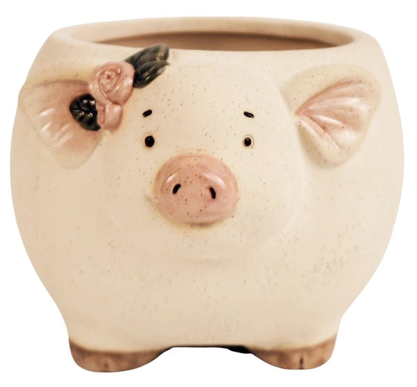 Pig with Flowers Planter Sand 9.5cm Sydney's Plant Market