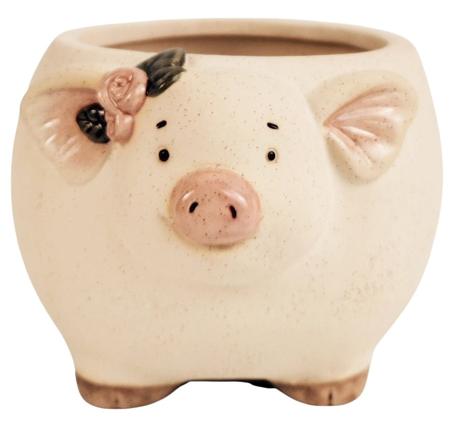 Pig with Flowers Planter Sand 9.5cm Sydney's Plant Market