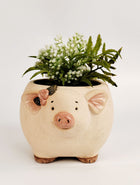 Pig with Flowers Planter Sand 9.5cm Sydney's Plant Market