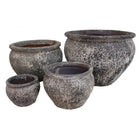 REEF ATLANTIS PLANTER