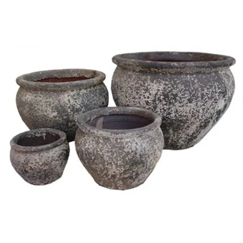 REEF ATLANTIS PLANTER
