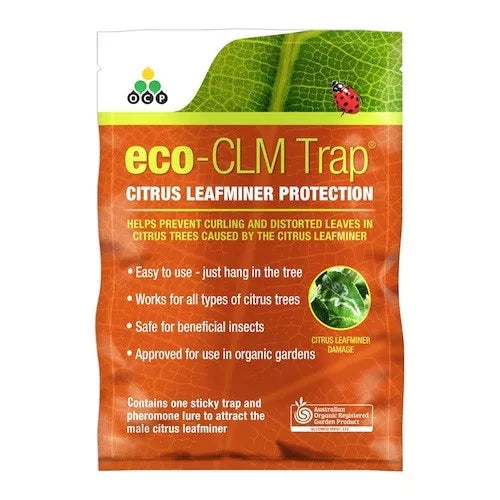 OCP ECO CITRUS LEAF MINER TRAP Sydney's Plant Market