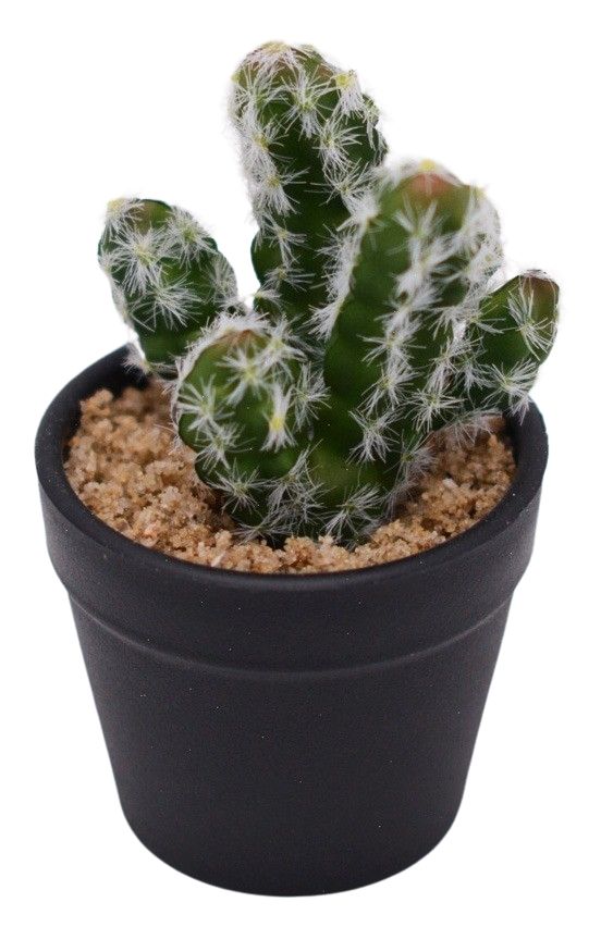 CACTUS PLANT GREEN 12CM