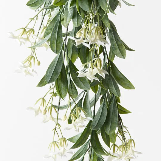 ARTIFICIAL STEPHANOTIS HANGING BUSH Sydney's Plant Market