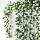 ARTIFICIAL STRING OF PEARLS GREY GREEN Sydney's Plant Market