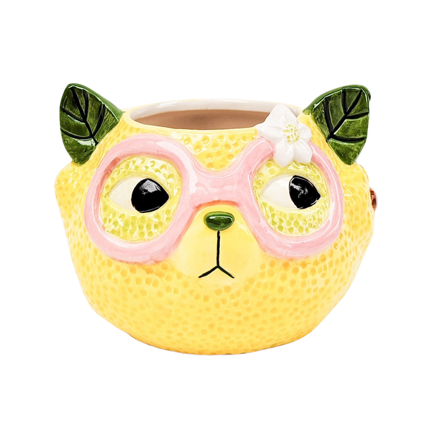Tropicana Cat Lemon Planter Yellow Sydney's Plant Market
