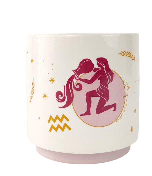 ZODIAC STAR SIGN PLANTER