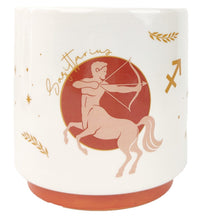 Load image into Gallery viewer, ZODIAC STAR SIGN PLANTER
