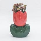 RED TULIP POT