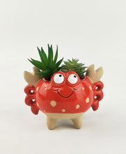Load image into Gallery viewer, RED CRAB PLANTER
