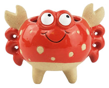 Load image into Gallery viewer, RED CRAB PLANTER
