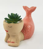 Mermaid Planter Pink 14cm Sydney's Plant Market