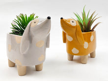 Load image into Gallery viewer, Dog Planter
