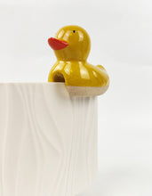 Load image into Gallery viewer, Ducky Pot Hanger
