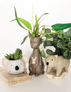 KANGAROO PLANTER POT