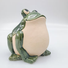 Load image into Gallery viewer, CHARMING FROG PLANTER POT
