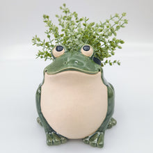 Load image into Gallery viewer, CHARMING FROG PLANTER POT
