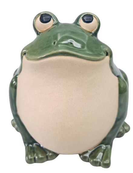 CHARMING FROG PLANTER POT