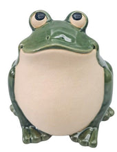 Load image into Gallery viewer, CHARMING FROG PLANTER POT
