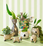 AUSTRALIANA PLANTER POT