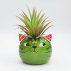 WATERMELON CAT PLANTER