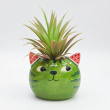 Load image into Gallery viewer, WATERMELON CAT PLANTER
