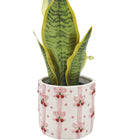 PINK CHERRY BOW PLANTER