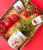 FRESH TOMATOES CAN PLANTER CREAM 16CM