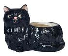 WINSTON CAT PLANTER