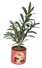 LA DOLCE VITA PLANTER