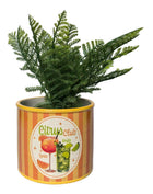 SPRITZ CITRUS CLUB PLANTER