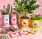 SPRITZ BUBBLY BAR PLANTER POT