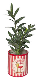 SPRITZ BUBBLY BAR PLANTER POT