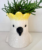 COCKATOO PLANTER