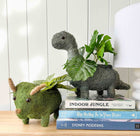 TRICERATOPS DINOSAUR HUSK PLANTER