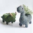 TRICERATOPS DINOSAUR HUSK PLANTER