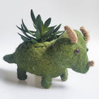 TRICERATOPS DINOSAUR HUSK PLANTER