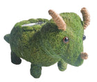 TRICERATOPS DINOSAUR HUSK PLANTER