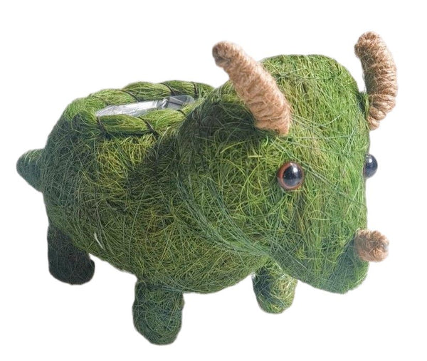 TRICERATOPS DINOSAUR HUSK PLANTER