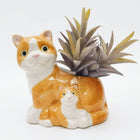 HUGGING CATS PLANTER