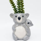 HUGGING KOALAS PLANTER POT