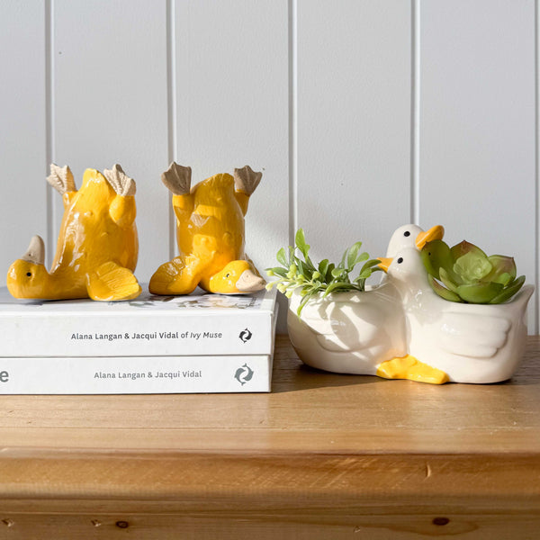 HUGGING DUCKS PLANTER