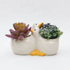 HUGGING DUCKS PLANTER