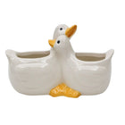 HUGGING DUCKS PLANTER