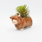 HIGHLAND COW PLANTER