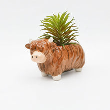 Load image into Gallery viewer, HIGHLAND COW PLANTER
