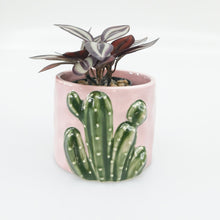 Load image into Gallery viewer, CACTUS PINK PLANTER
