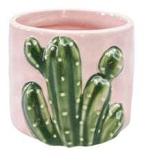 Load image into Gallery viewer, CACTUS PINK PLANTER
