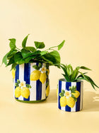 LEMONCELLO PLANTER POT